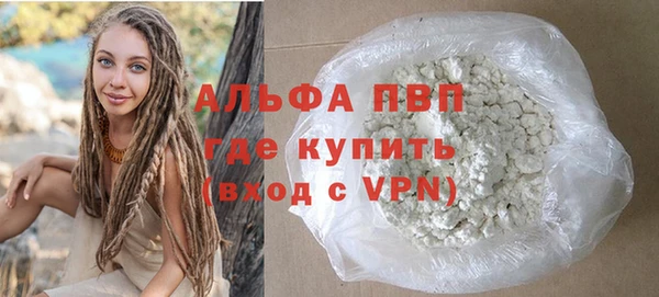 гидра Богородск